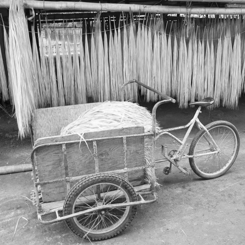 Old tricycle cart for transporting straw